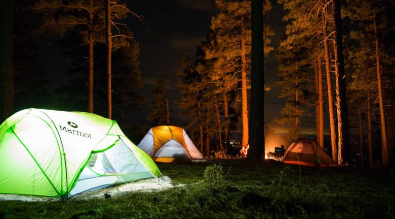 three dome tents with lights on forest beside campfire