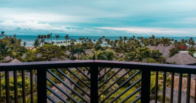 wide-angle photography of brown huts surrounded by coconut palm trees during daytime
