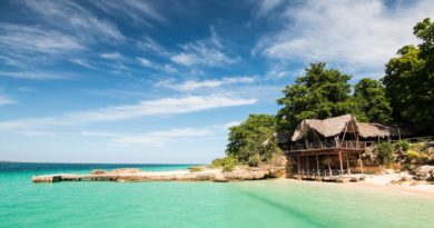 brown wooden house near beach
