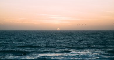sea waves under sunset