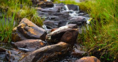 close-up photography of river during daytime