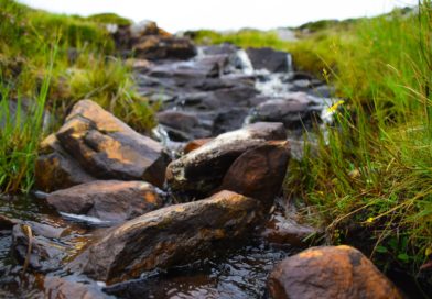 close-up photography of river during daytime