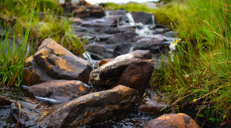 close-up photography of river during daytime