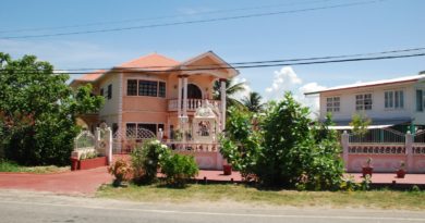 white and brown concrete house