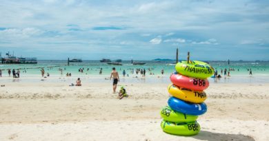 people on beach during daytime