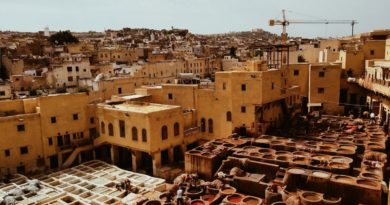 aerial photography of buildings