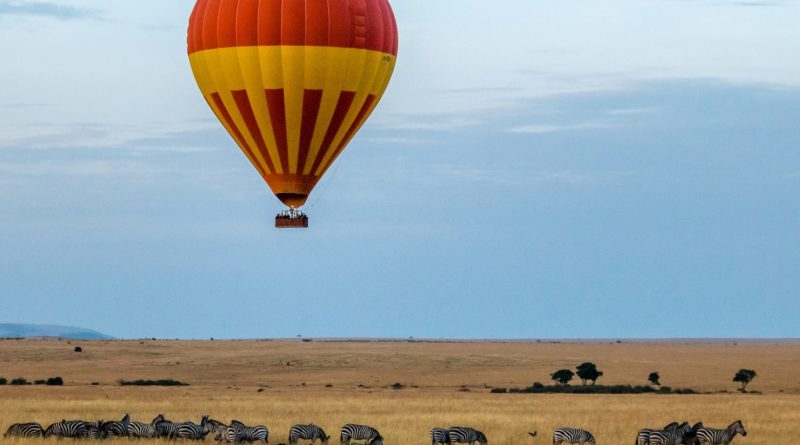 red and yellow hot air balloon over field with zebras