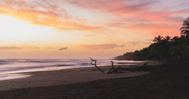 silhouette of person holding surfboard on beach during sunset