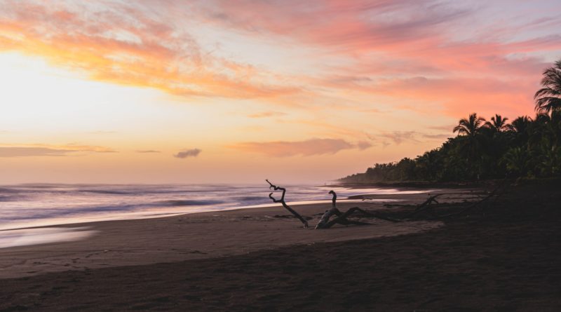 silhouette of person holding surfboard on beach during sunset