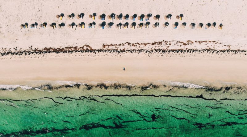 people on beach during daytime