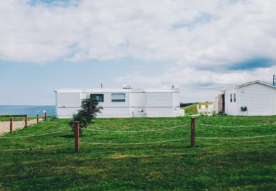 white shed near sea