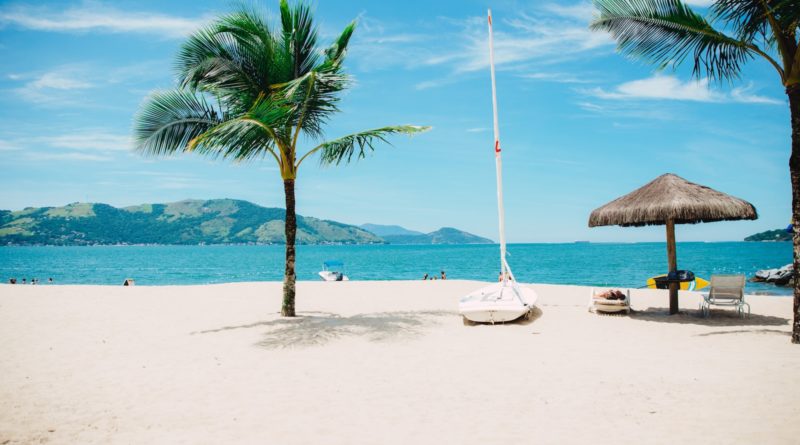 coconut tree near shore within mountain range