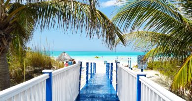 blue and white wooden bride near ocean