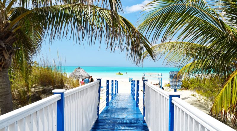 blue and white wooden bride near ocean