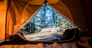 orange camping tent near green trees