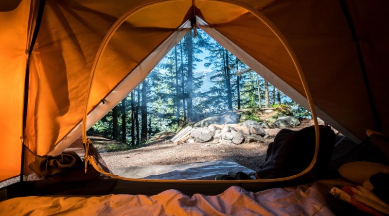 orange camping tent near green trees