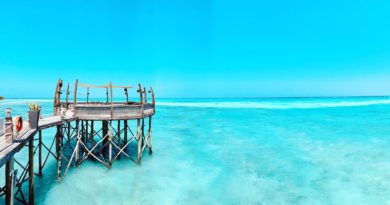 gray wooden dock under clear blue sky