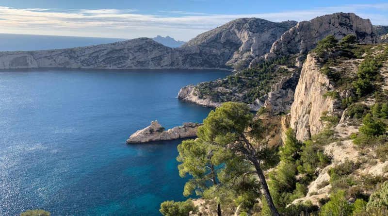 green trees on brown rocky mountain beside blue sea under blue sky during daytime
